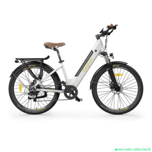 Le meilleur VAE ville rapport Qualité/Prix en 2026 : Eleglide T1 Step-Thru