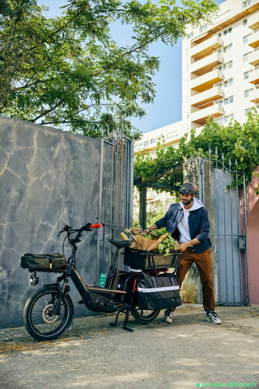 meilleur velo électrique - en-velo-simone.fr - Cannondale Cargowagen Neo 1