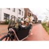 meilleur vélo électrique - en-velo-simone.fr - Test et Avis du vélo cargo électrique biporteur Btwin F900 E