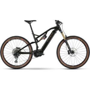 Raymon TrailRay 140E 11.0 - comparateur meilleur vélo électrique - en-velo-simone.fr