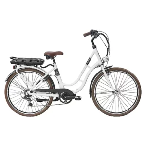 Nakamura E City 110 - comparateur meilleur vélo électrique - en-velo-simone.fr