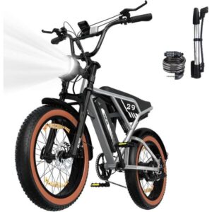 RCB-RK29 - comparateur meilleur vélo électrique - en-velo-simone.fr