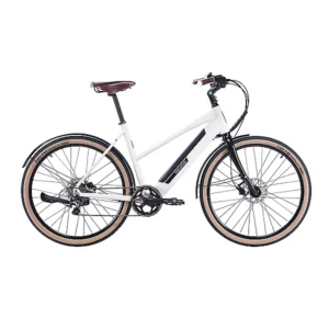Nakamura Roadster Open - comparateur meilleur vélo électrique - en-velo-simone.fr