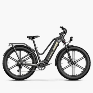 Accueil - 8 Fiido Titan - comparateur meilleur vélo électrique - en-velo-simone.fr