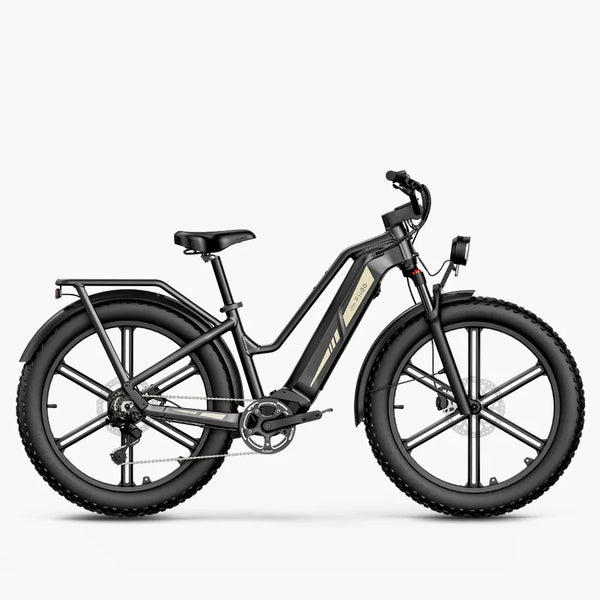 Fiido Titan - 1 Fiido Titan - comparateur meilleur vélo électrique - en-velo-simone.fr