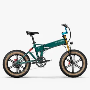 Accueil - 6 Fiido M1 Pro - comparateur meilleur vélo électrique - en-velo-simone.fr