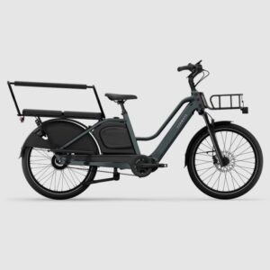 Test et Avis du vélo cargo électrique Tenways Longtail Duo