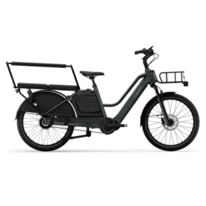 Tenways Longtail Duo - comparateur meilleur vélo électrique - en-velo-simone.fr