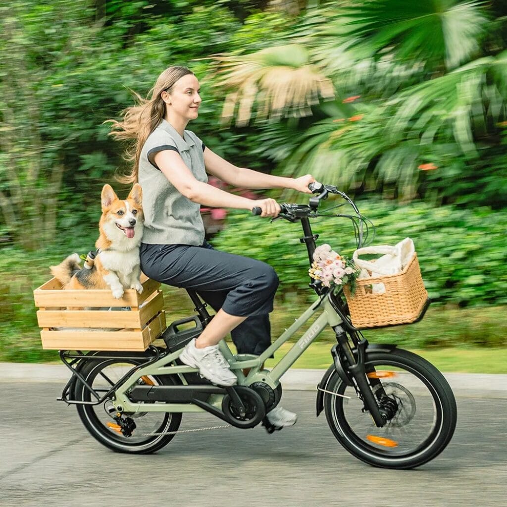 Test et Avis du vélo cargo électrique Fiido T3 - Test & Avis 4 Fiido T3 - meilleur vélo électrique - en-velo-simone.fr