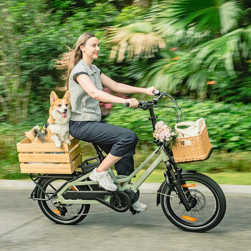 Test et Avis du vélo cargo électrique Fiido T3 - Test & Avis 7 Fiido T3 - meilleur vélo électrique - en-velo-simone.fr