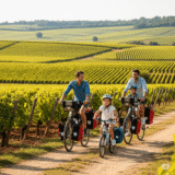 Le Tour de Bourgogne à Vélo : Une Odyssée au Cœur de la France Gourmande et Patrimoniale